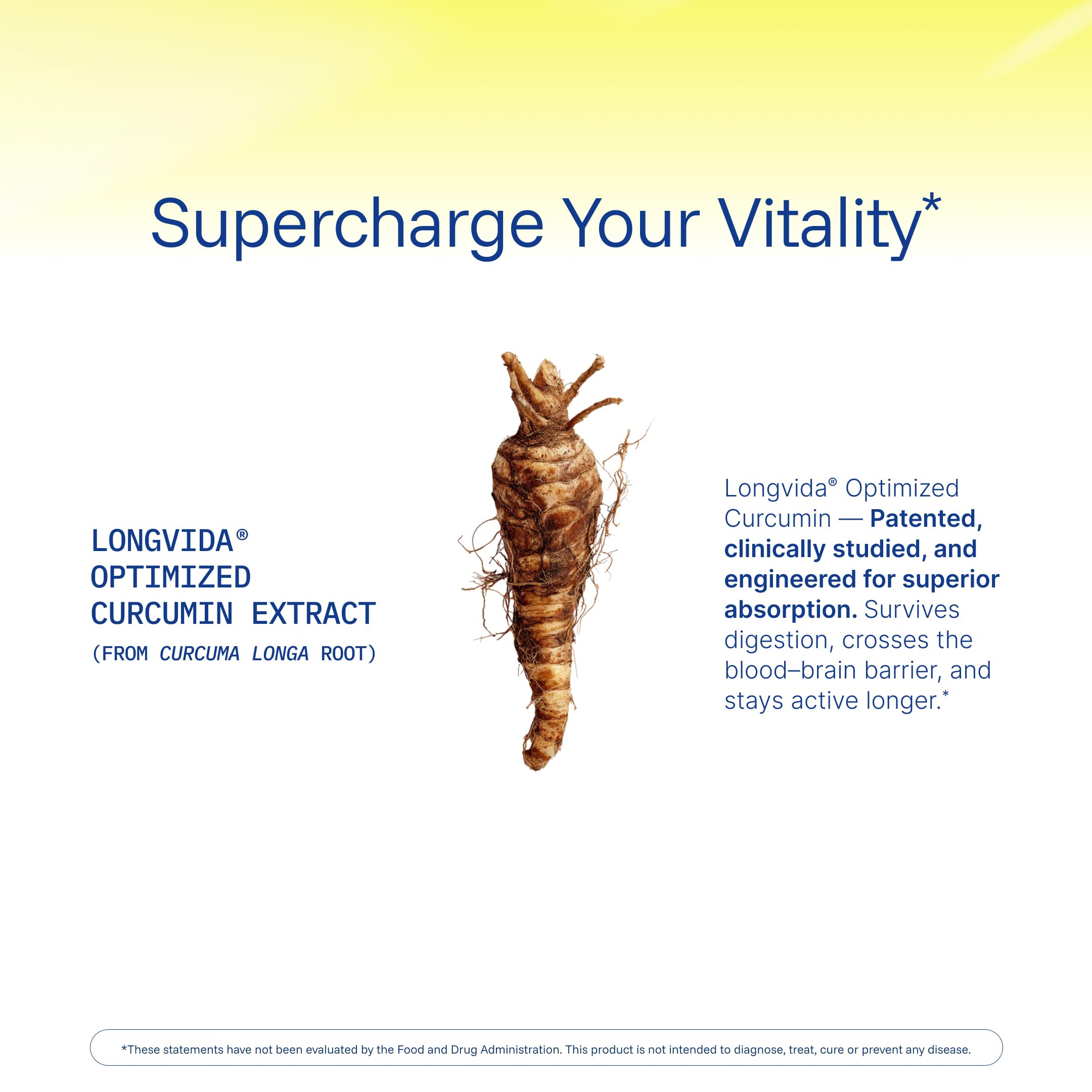 Neuroscientists developing the supplement