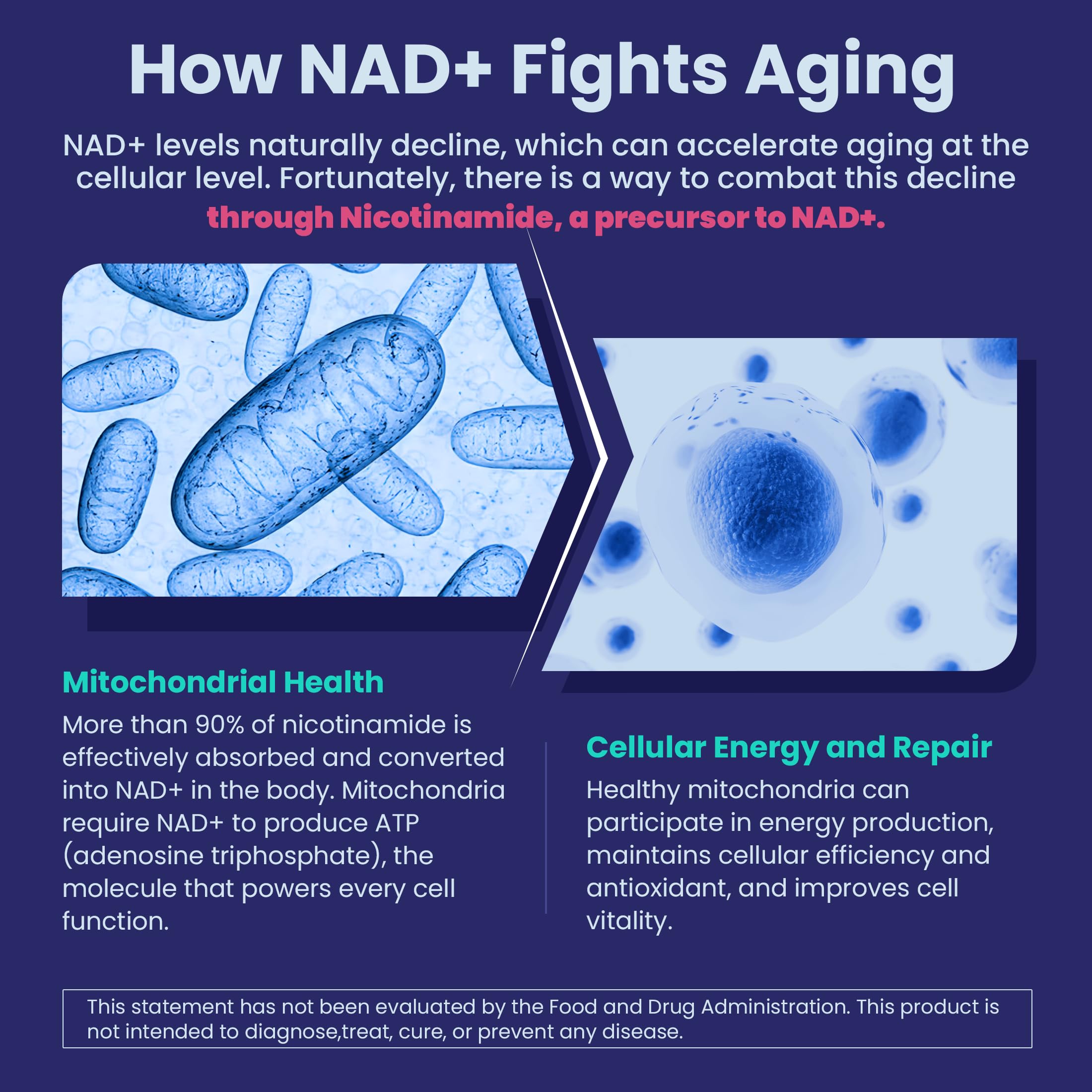 Concept image showing NAD+ support and niacinamide benefits