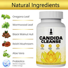 Wormwood herb ingredient for Candida Cleanse