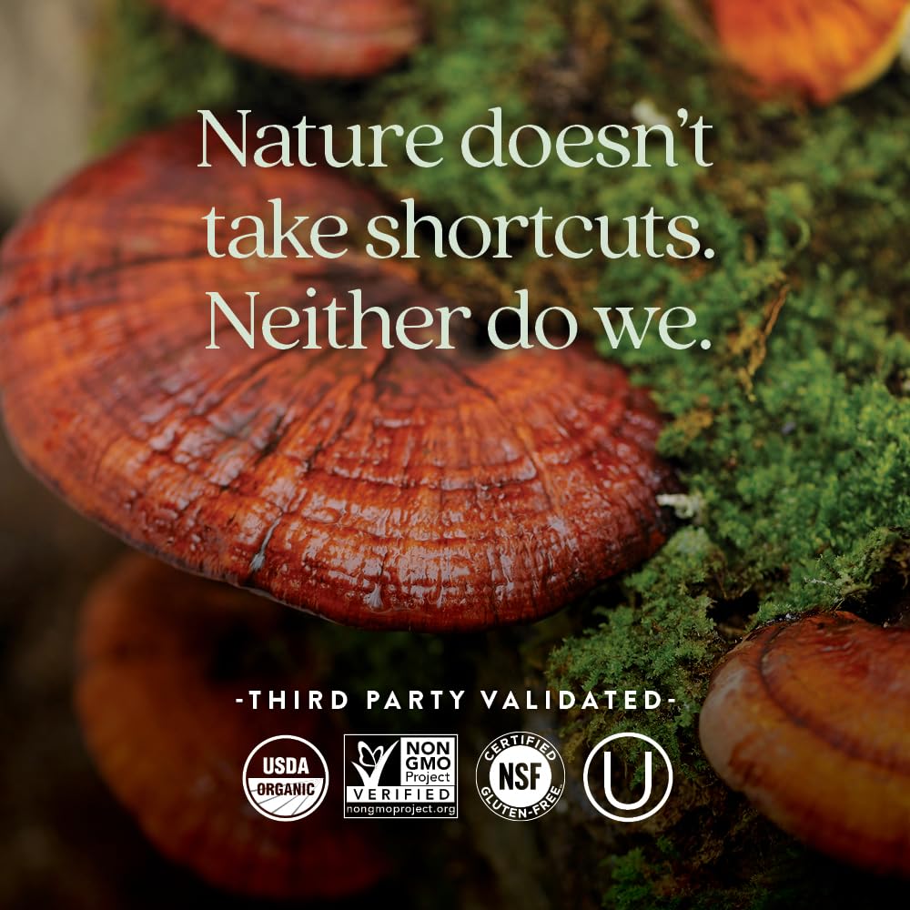 Adaptogenic Reishi mushroom and turmeric ingredients