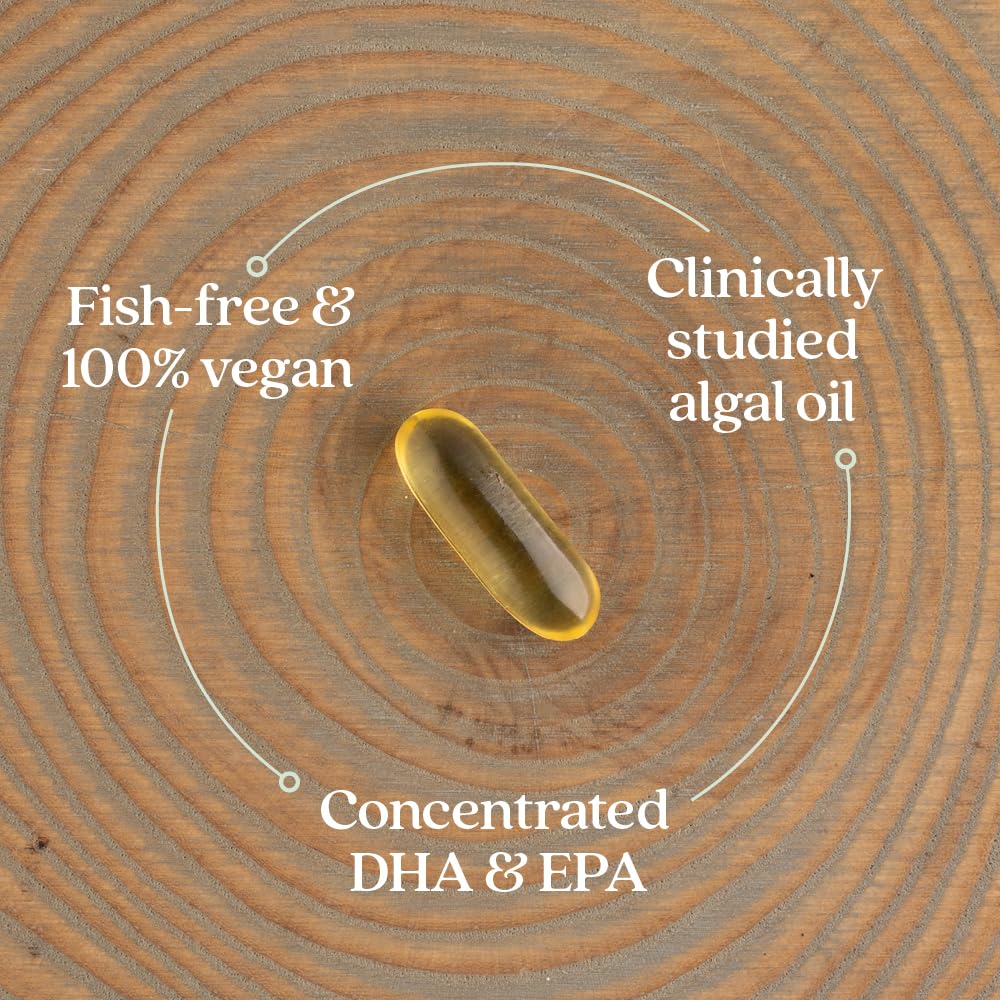 Fetal brain and eye development concept