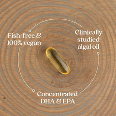 Fetal brain and eye development concept