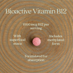 Fermented Vitamin B12 with whole food herbs visual