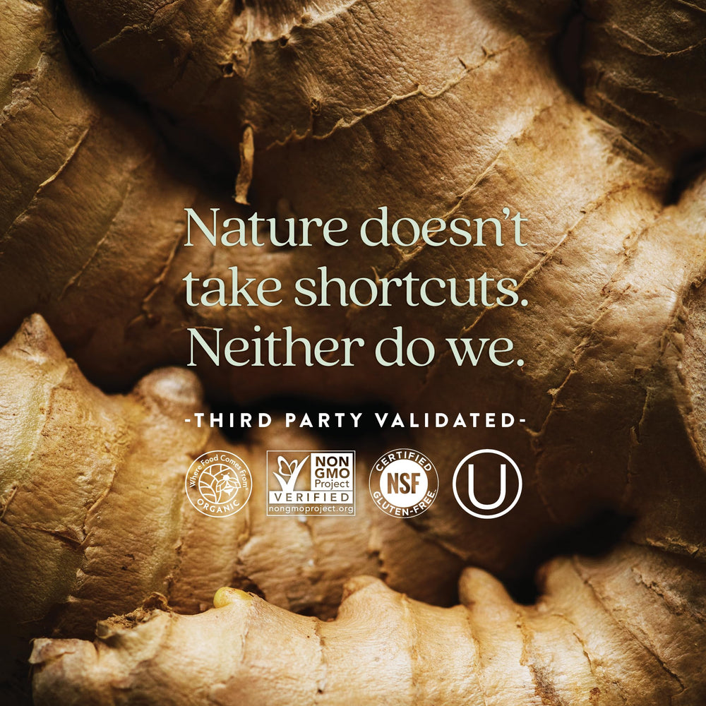 One daily, easy-to-digest fermented multivitamin for men