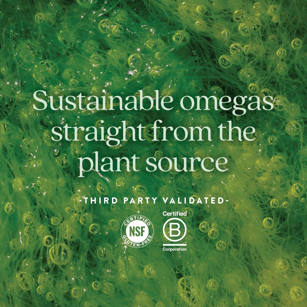 Indoor ocean-friendly algae cultivation system