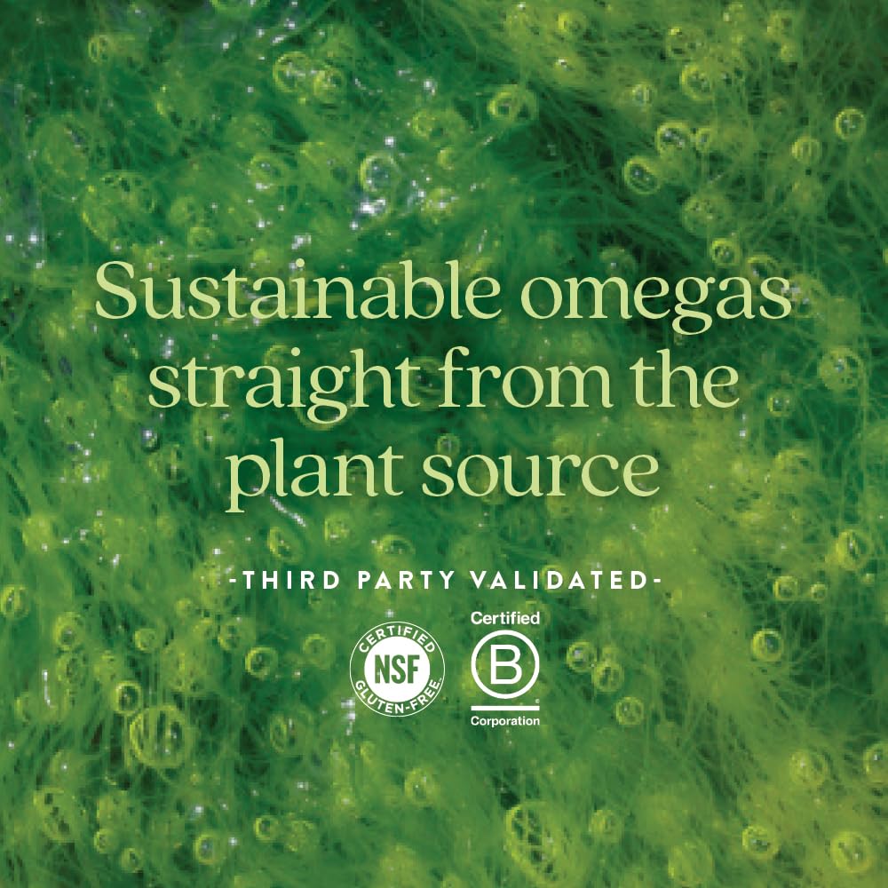 Ocean-friendly indoor algae cultivation imagery