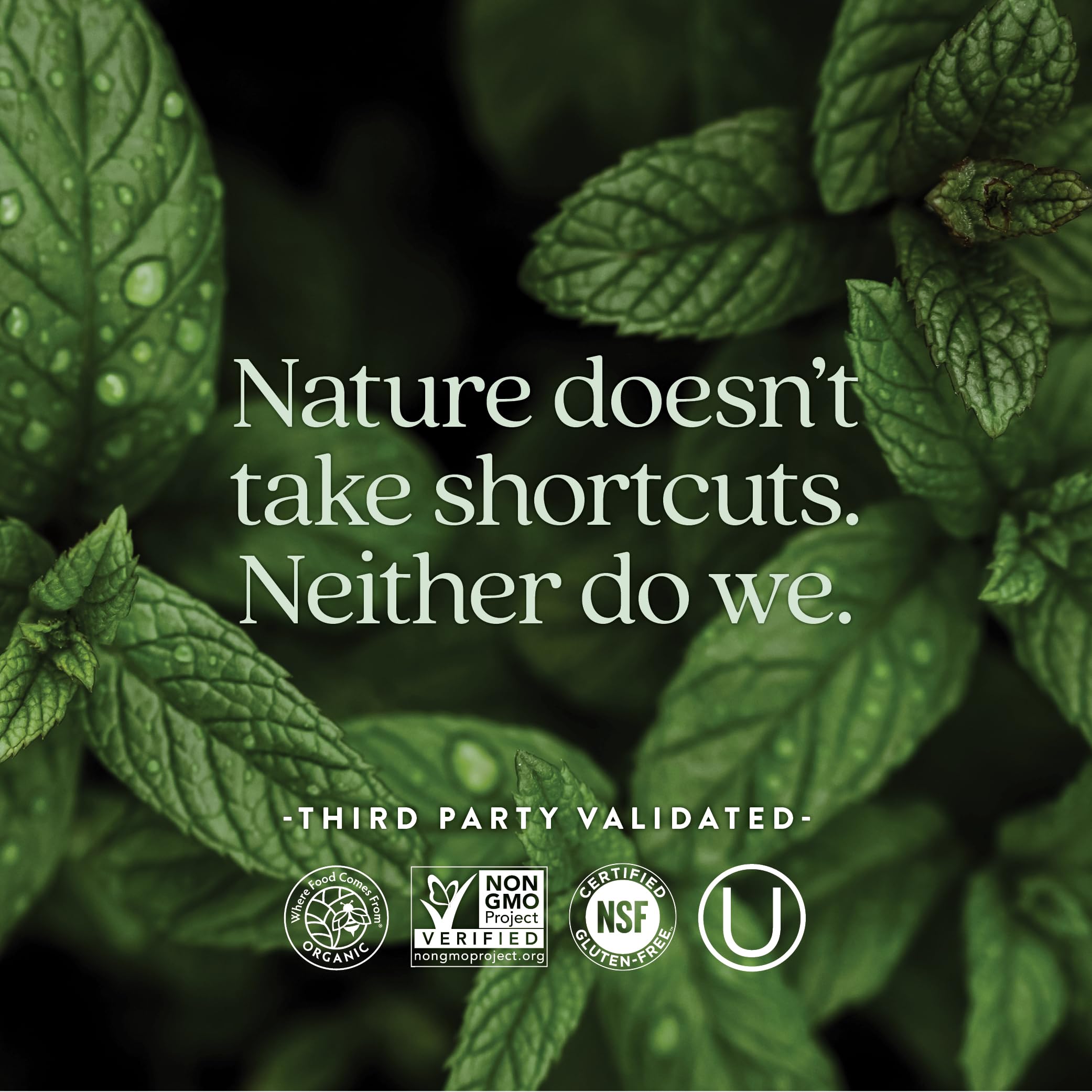 One daily, easy-to-digest multivitamin concept