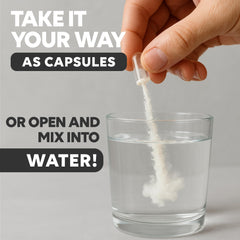 Newt's Sleep Aid blend of magnesium threonate, theanine and apigenin