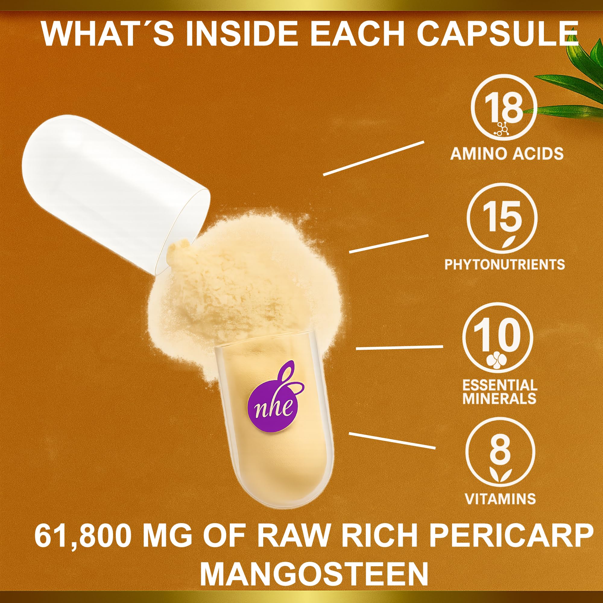 Capsules inside bottle with branding and clean packaging