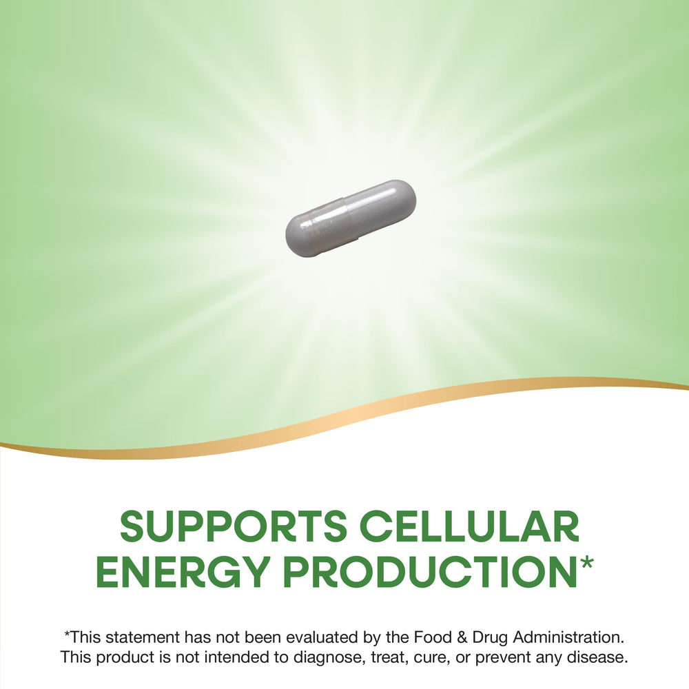 Close-up of Niacinamide capsules 500 mg