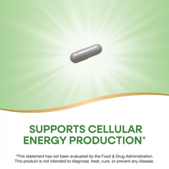 Close-up of Niacinamide capsules 500 mg