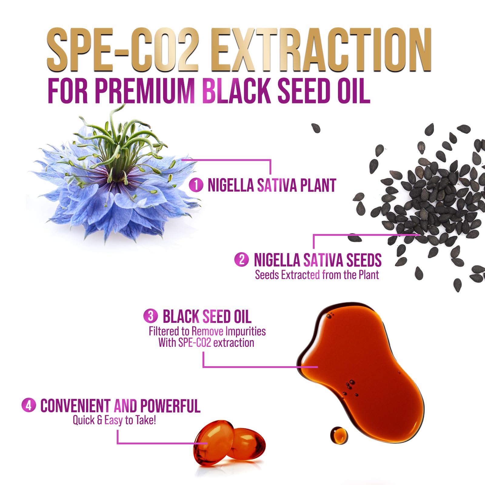 Close-up of Nigella sativa seeds