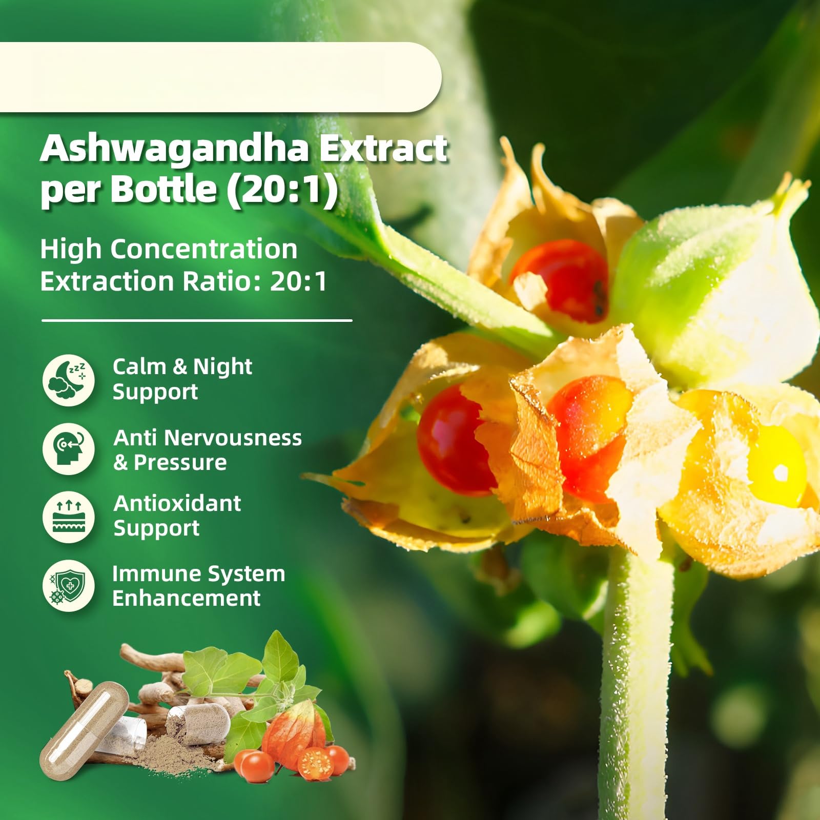 Chamomile for nighttime relaxation in Cortisol Manager