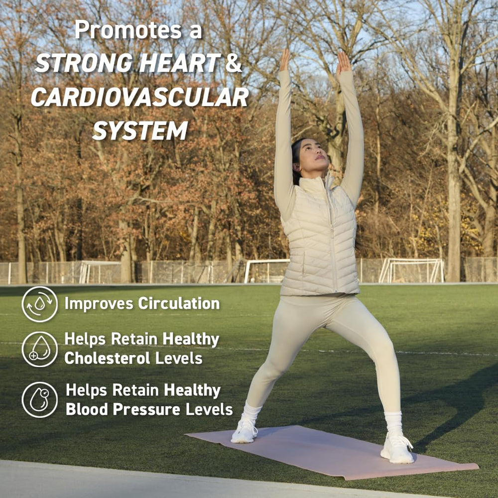 Nitric oxide boost from cocoa flavanols illustration