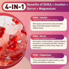 Soft chewable DHEA gummy texture close-up