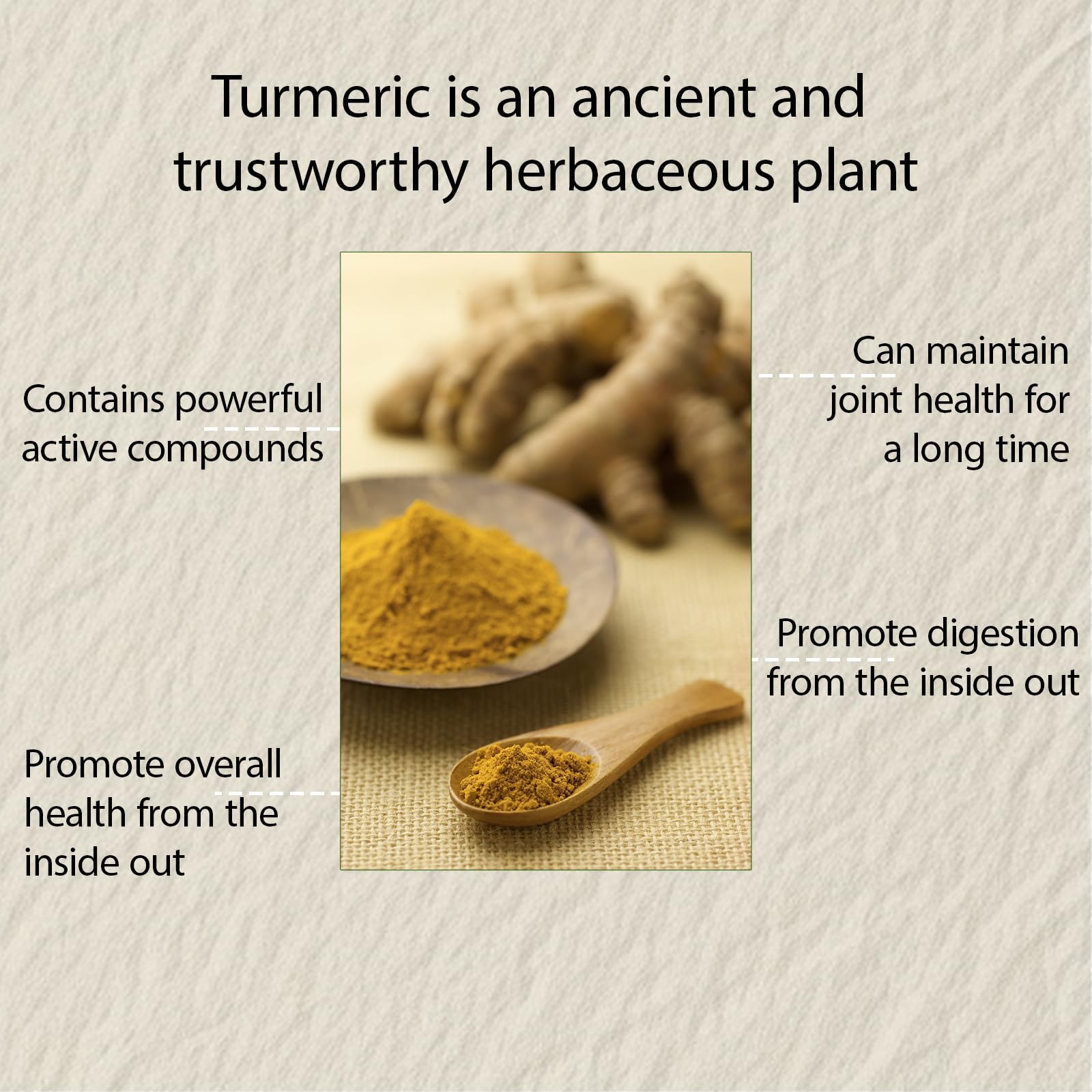 Illustration of ginger, bee propolis, and MCT oil ingredients