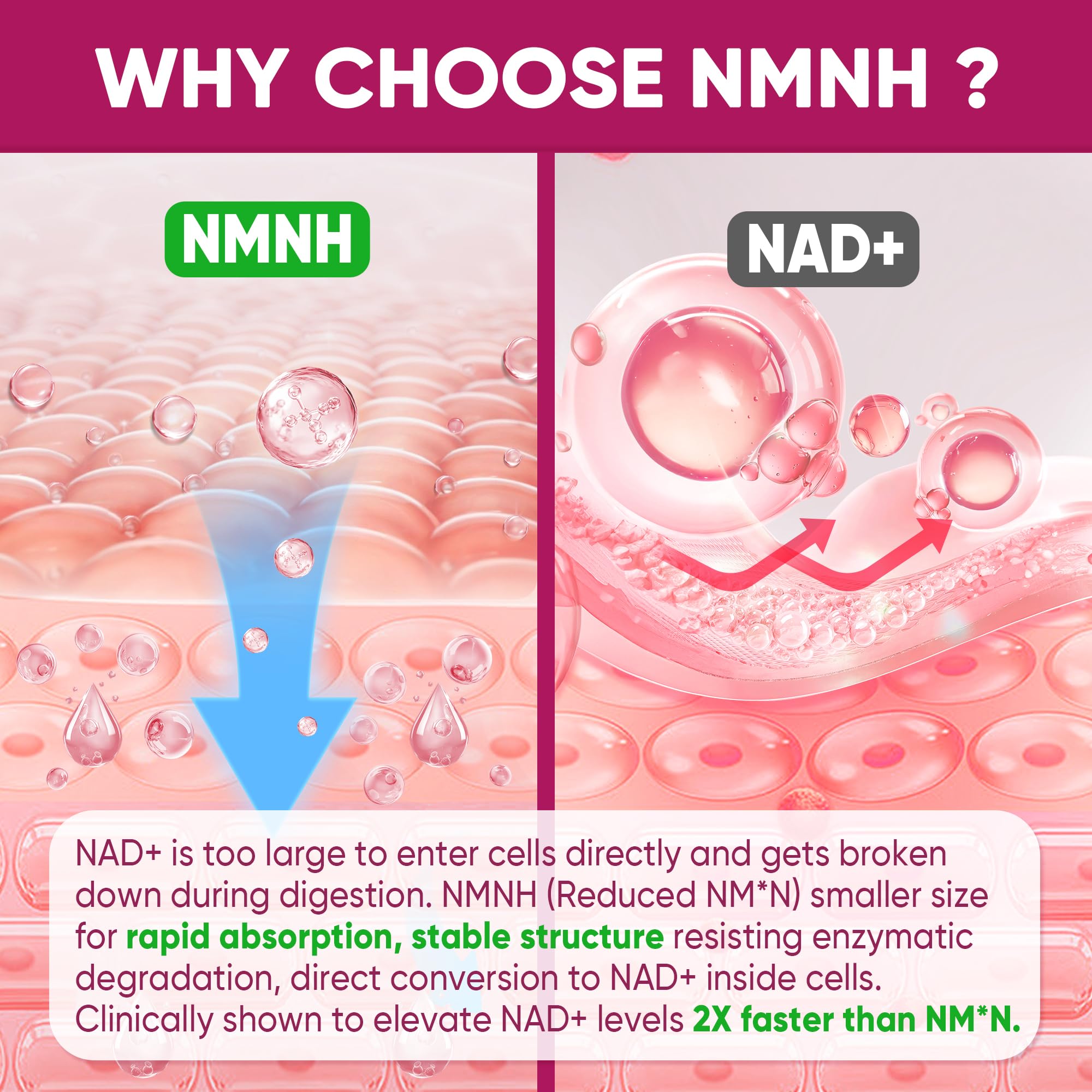 Sugar-free badge shown on NMNH packaging