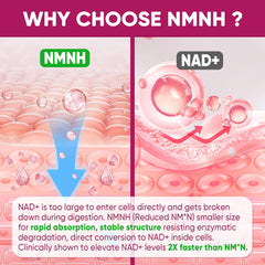 Sugar-free badge shown on NMNH packaging