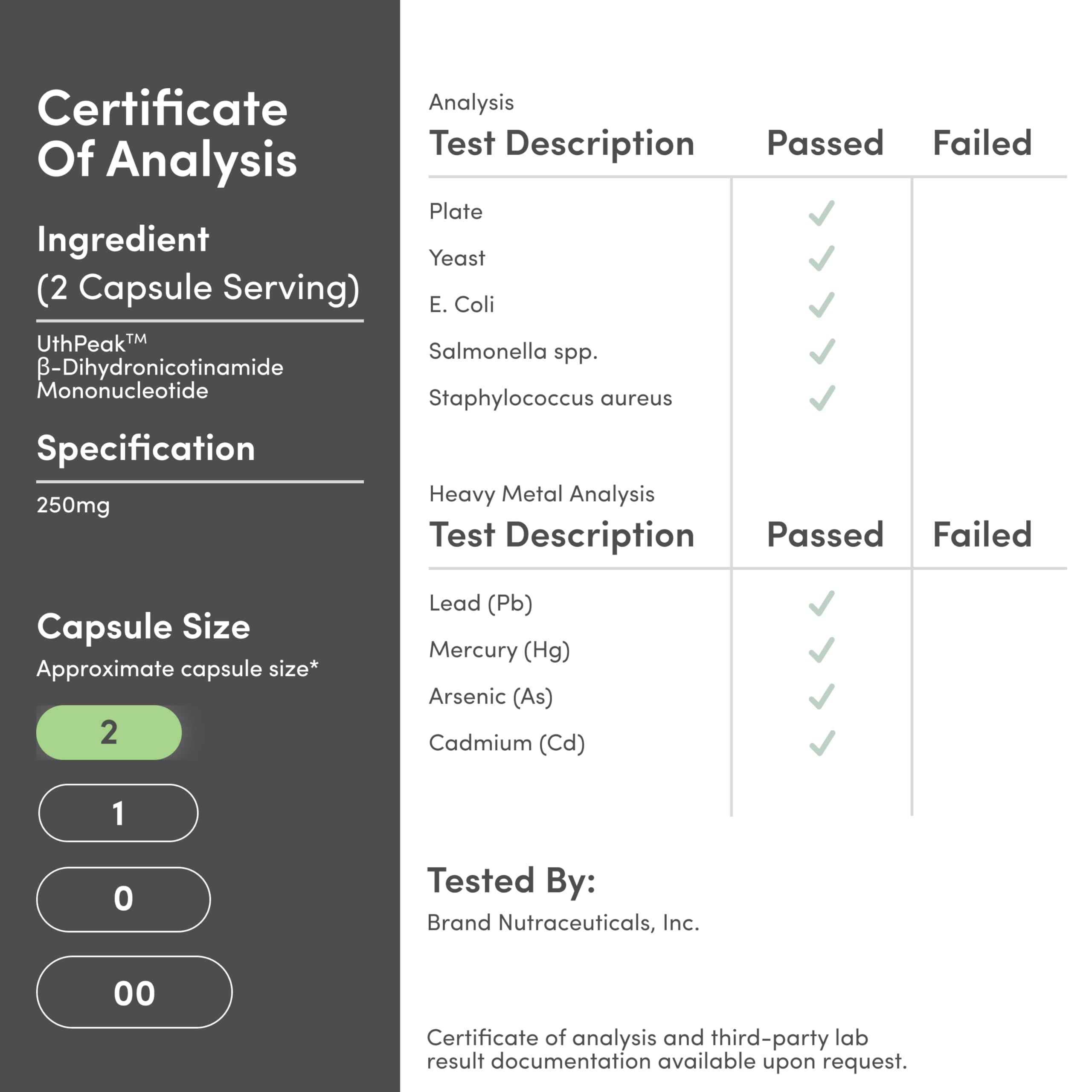 Lifestyle shot of a healthy adult holding NMNH bottle