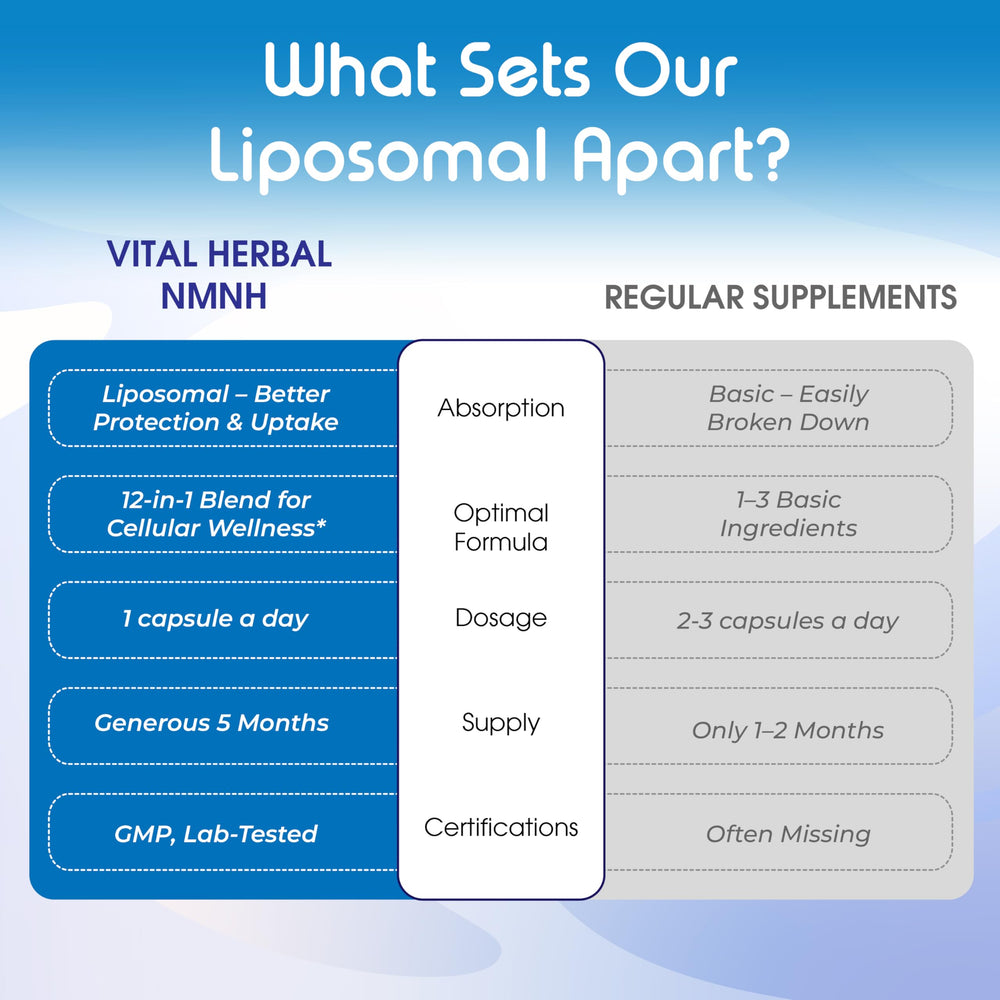 Graphic depicting increased energy and focus from NMNH