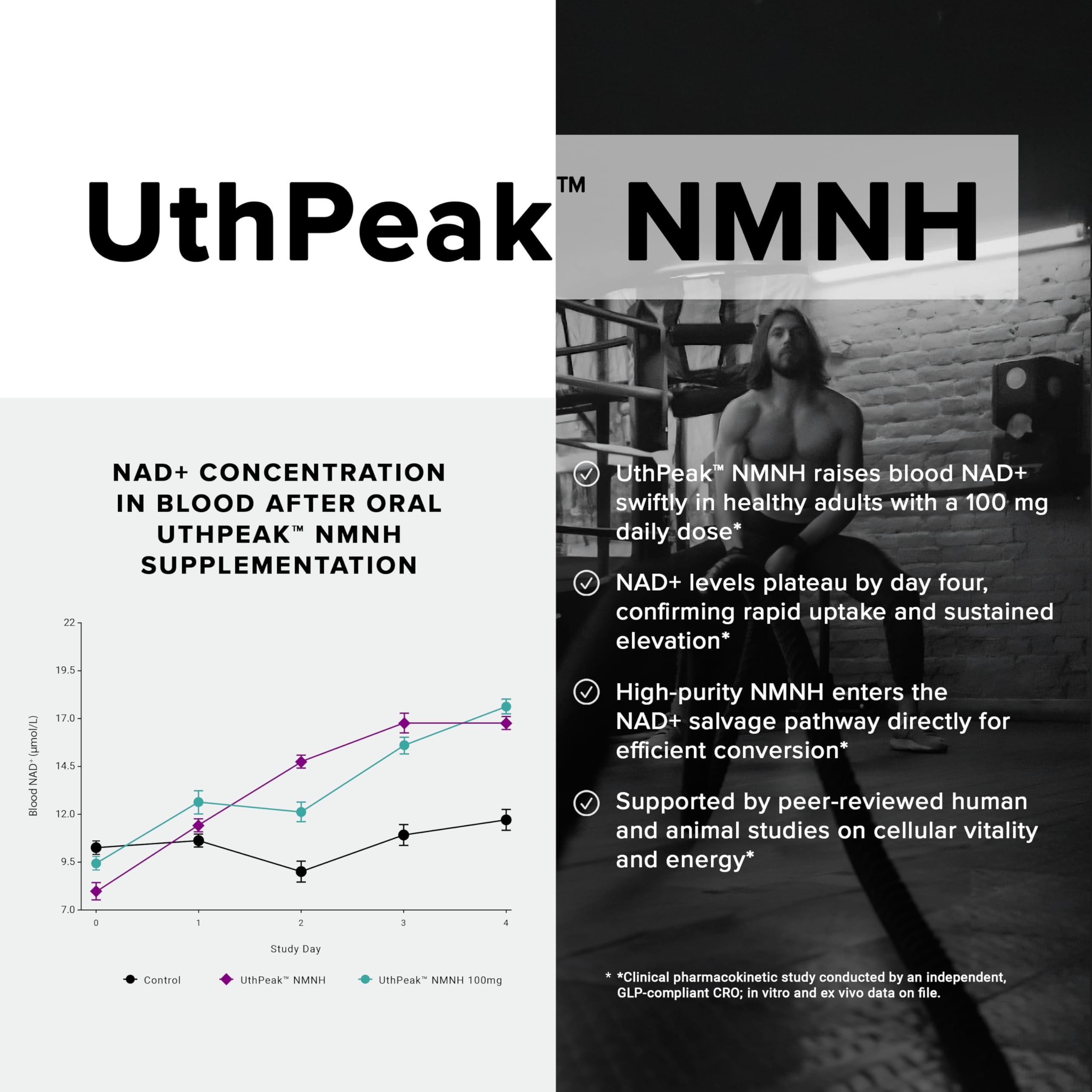 Graphic depicting Resveratrol, Quercetin, and TMG synergistic NMNH complex