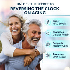 Ingredients image featuring NMNH, Resveratrol, Quercetin and BioPerine