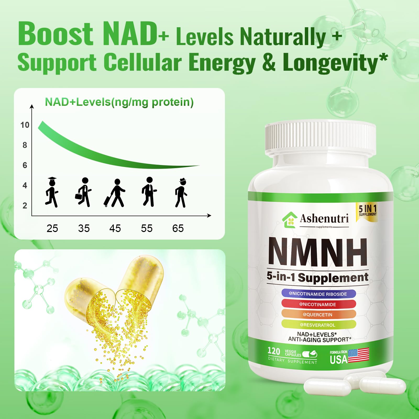 Niacinamide and Riboside ingredients