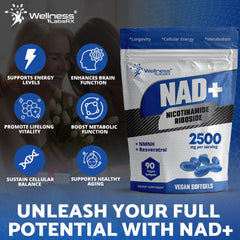 NMNH and Resveratrol liposomal NAD+ delivery artwork