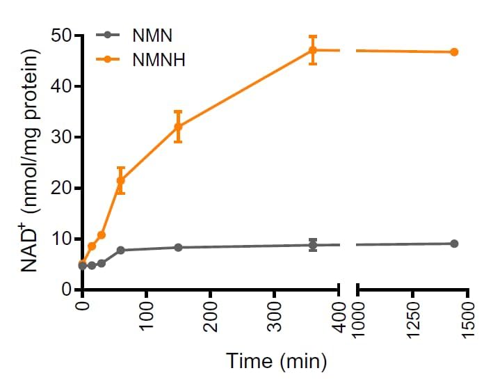 Serving size 30 servings per bottle for NMNH supplement