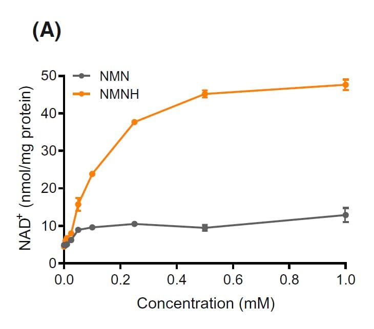 Made in USA in GMP facility with quality testing