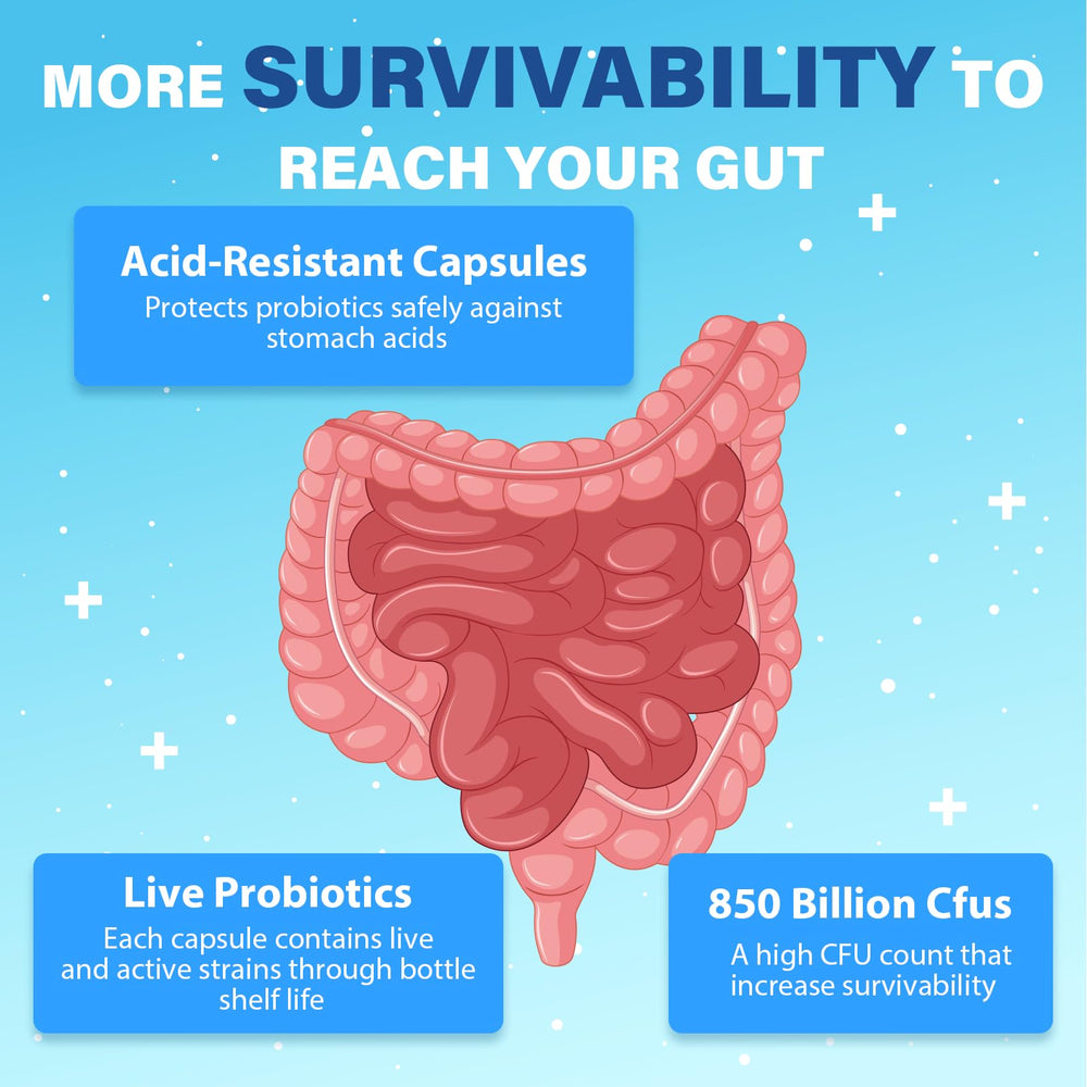 Vitality and gut health support for men over 50