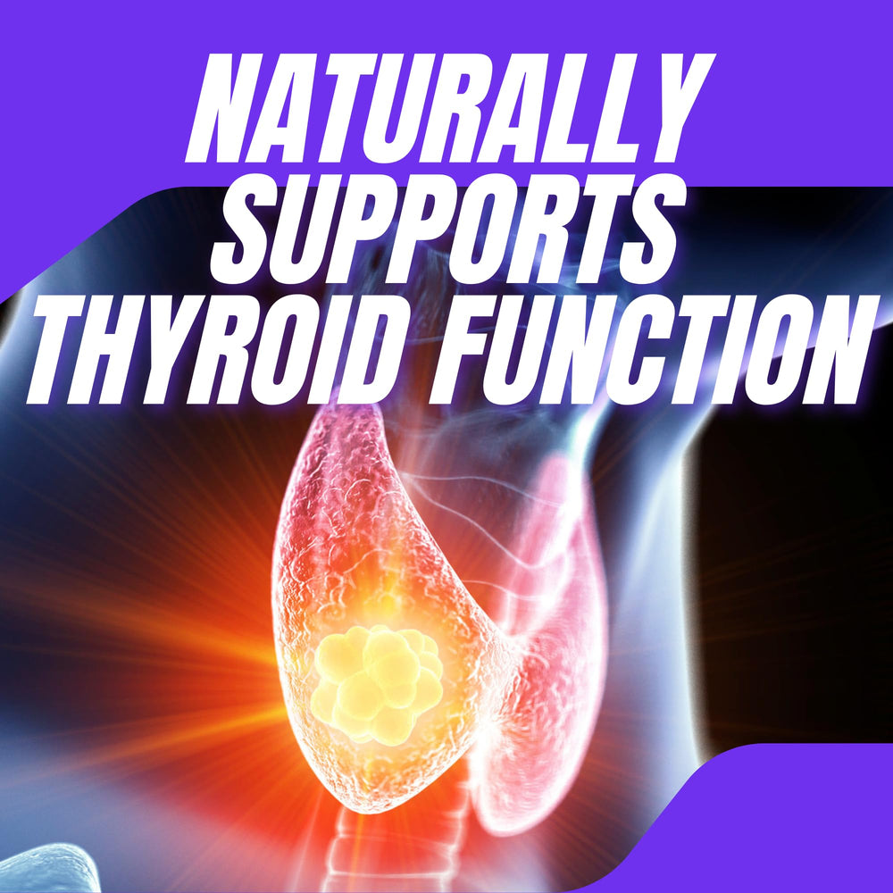 No-Stim ingredients Hoodia gordonii and saffron extract