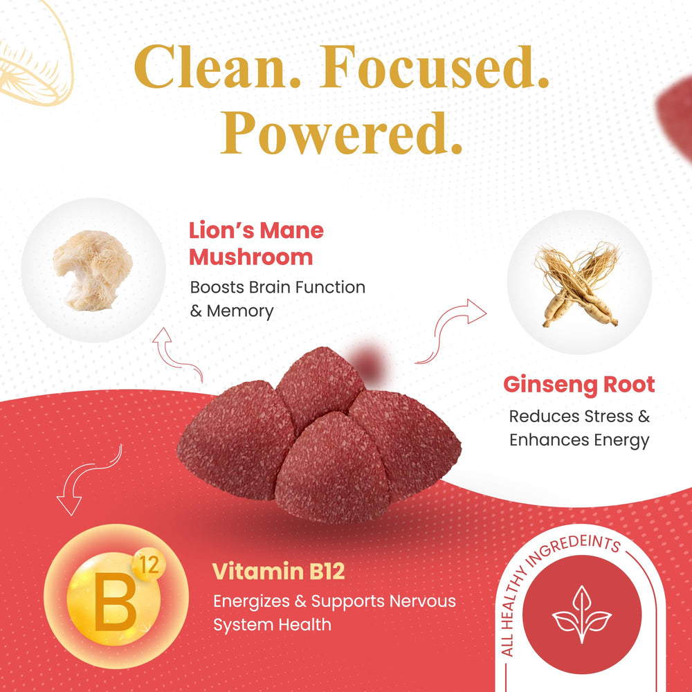 American ginseng and Vitamin B12 ingredients illustration