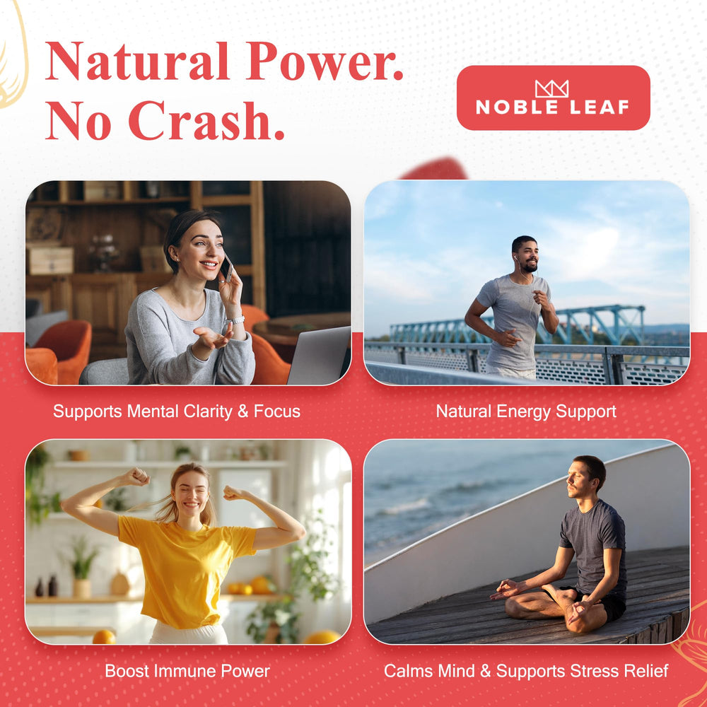 Front and back label of Noble Leaf Lion's Mane gummies