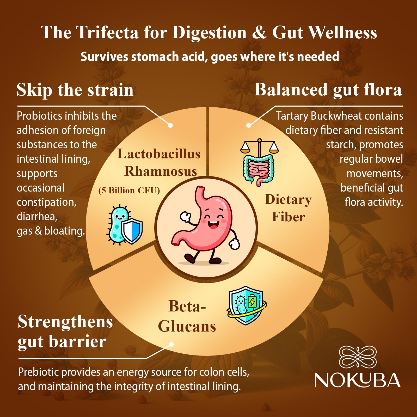 Lactobacillus rhamnosus supporting gut health