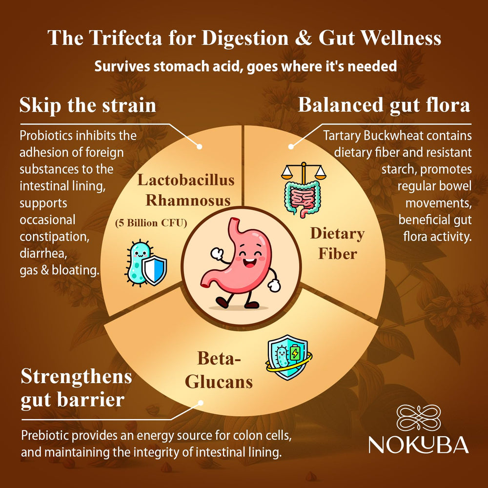 Lactobacillus rhamnosus supporting gut health