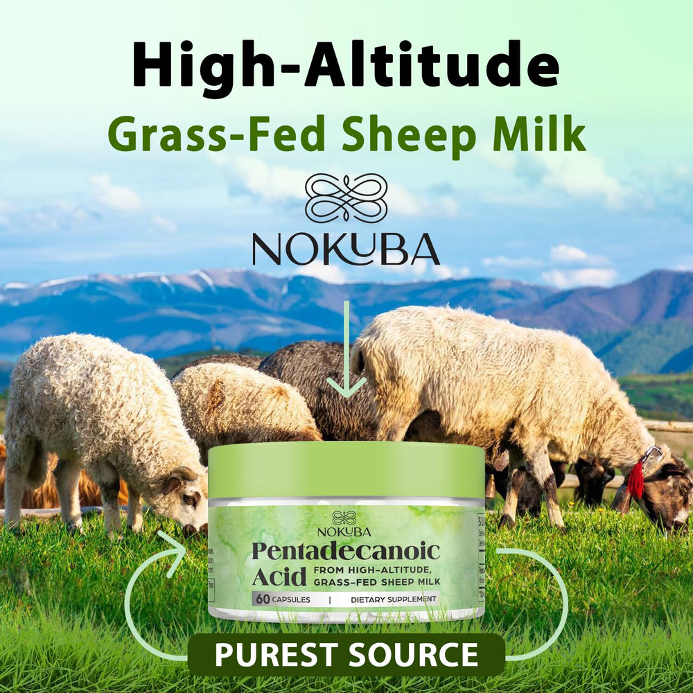 Sustainability and high-altitude sheep milk sourcing reference