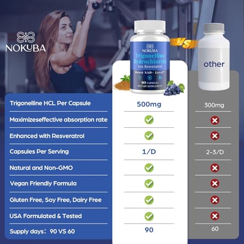 Lifestyle image showing active adults seeking energy and healthy aging