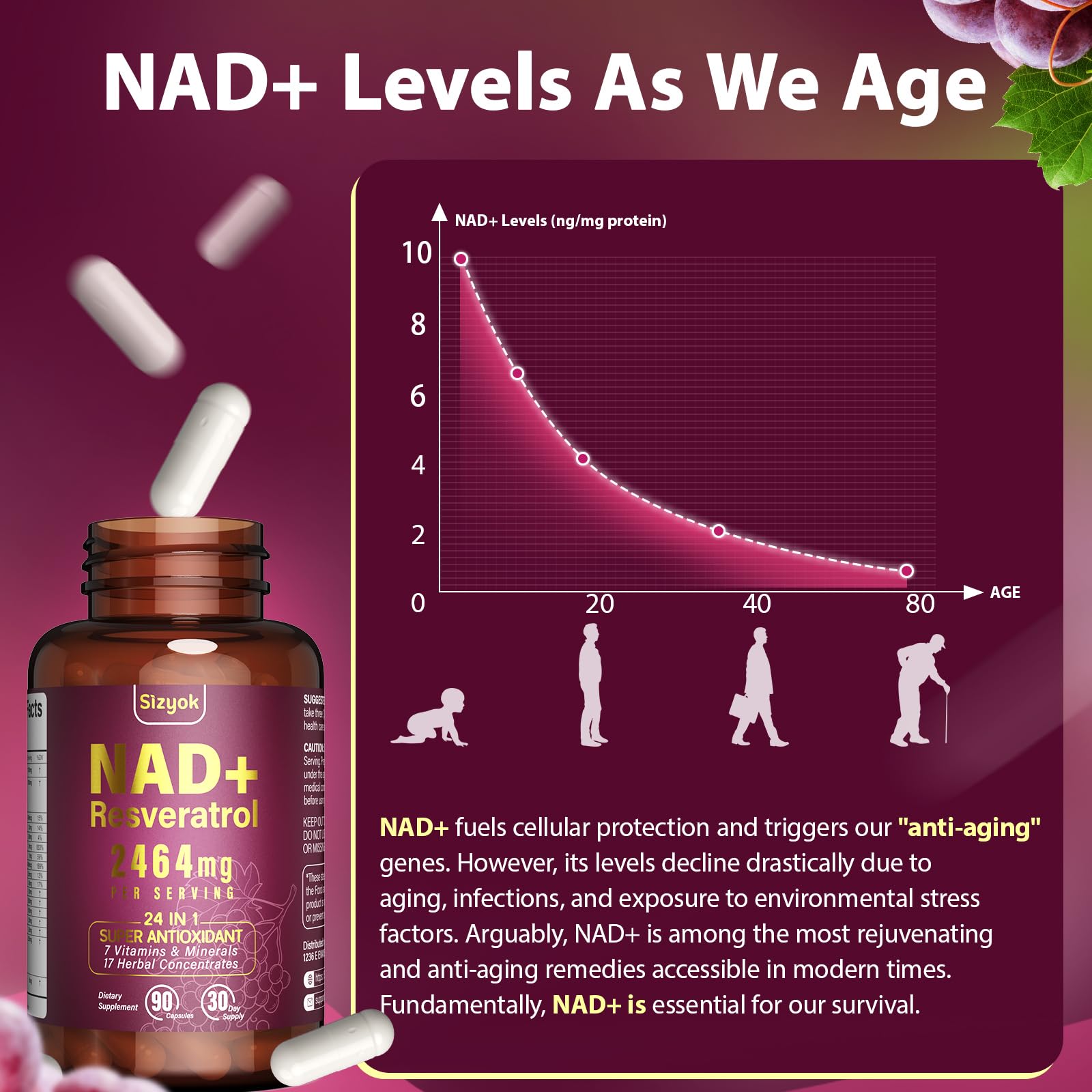 Non-GMO, gluten-free, third-party tested seal image