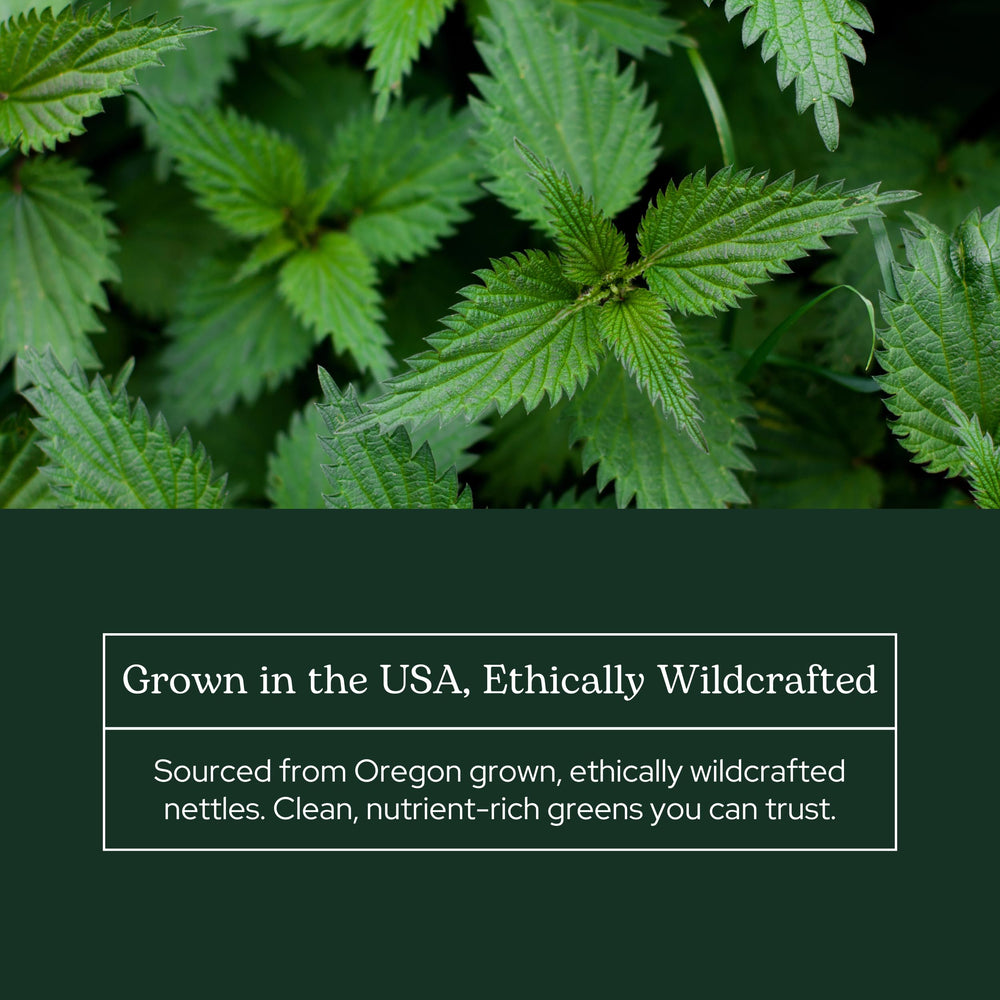 Non-GMO nettle leaf powder labeled gluten-free, soy-free, dairy-free.