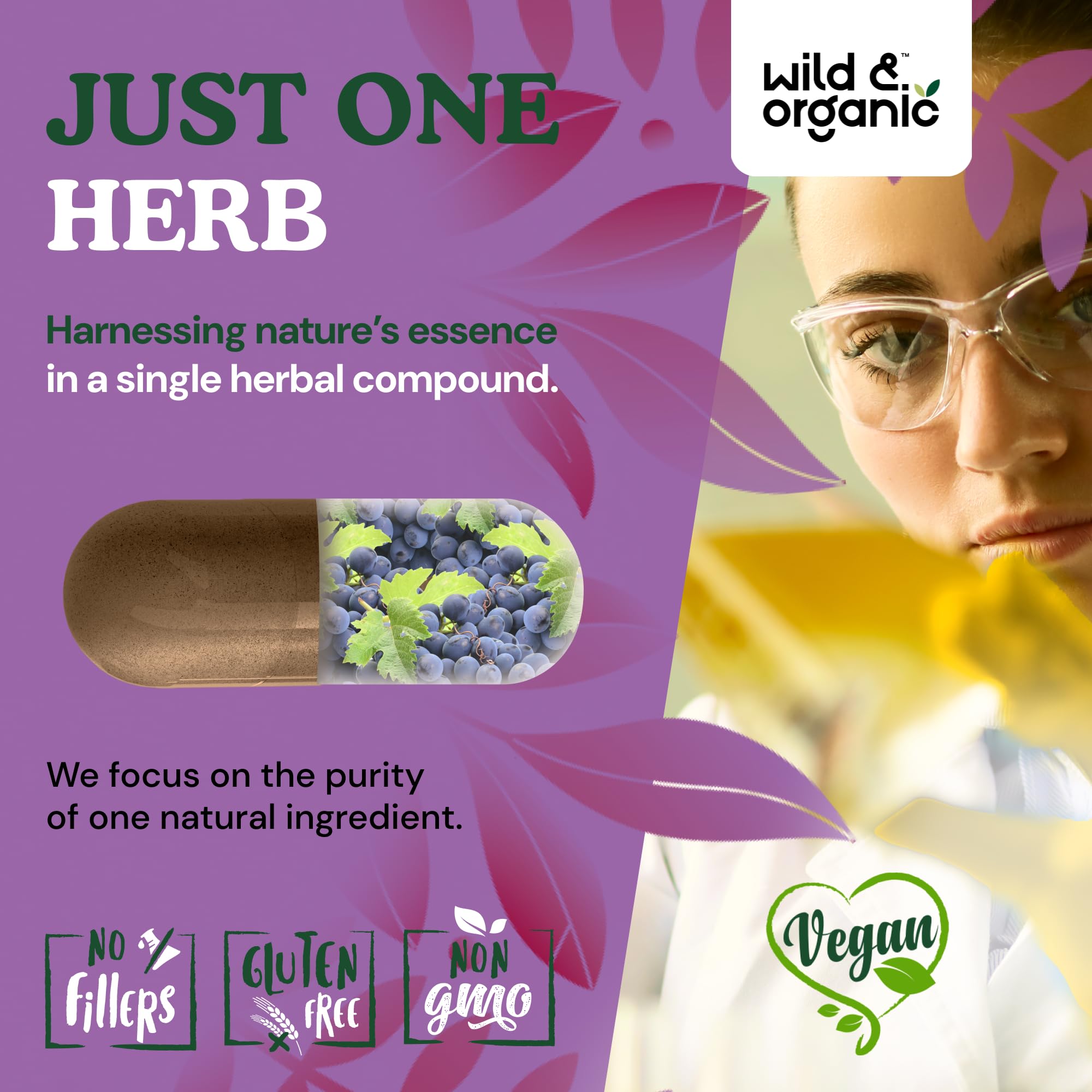 Non-GMO formula of grape seed extract capsules
