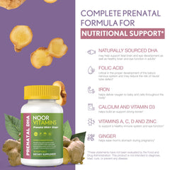 Ginger root representing stomach relief in Noor Prenatal vitamins