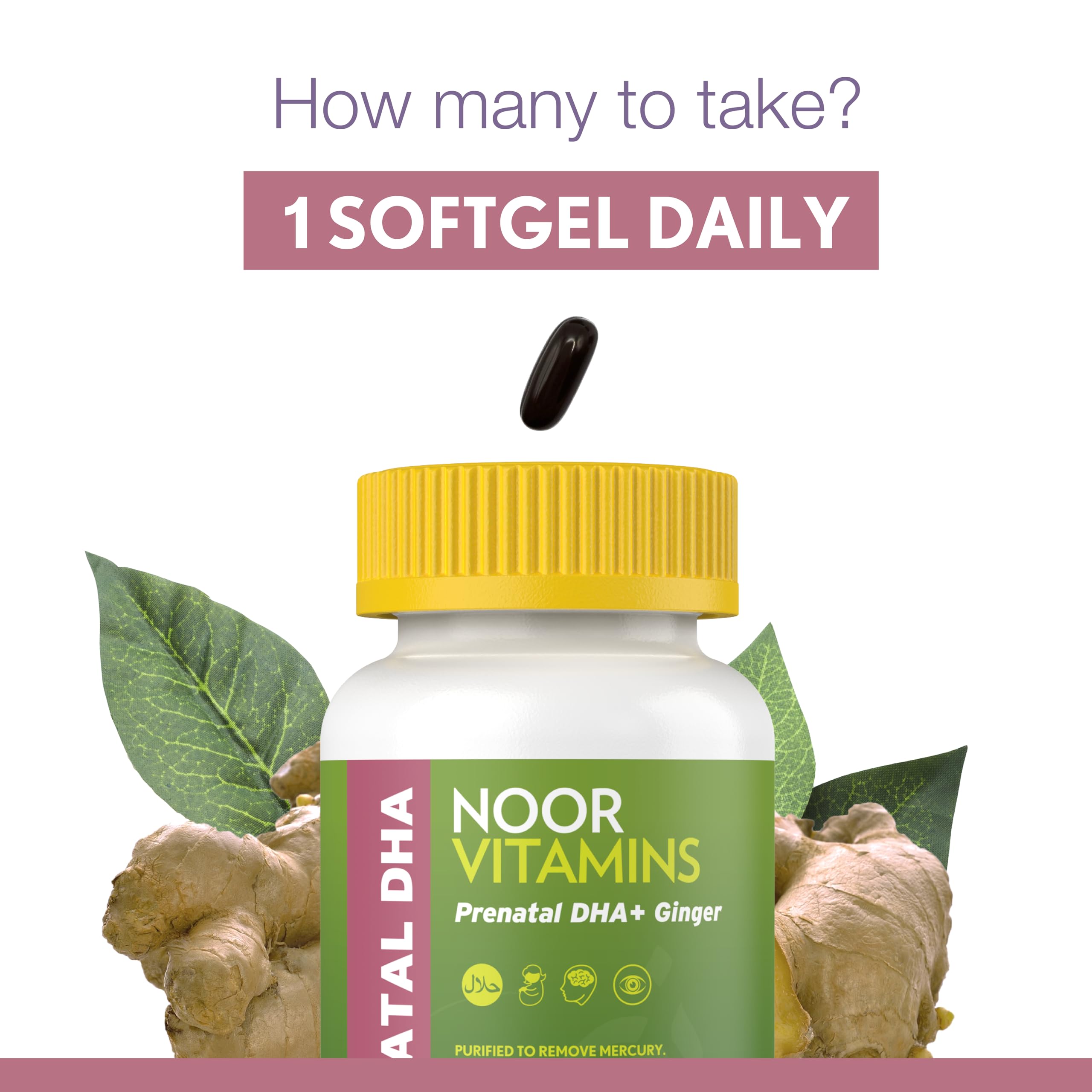 Noor Prenatal Softgel bottle with 1-month supply packaging