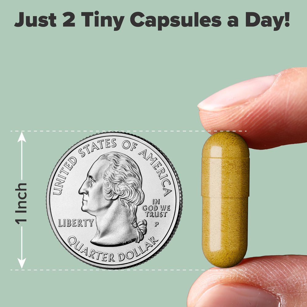 Nooro Nerve Prime packaging showing 4-pack 120-day supply