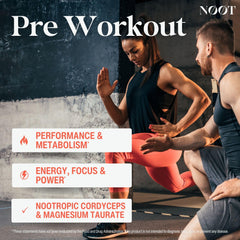 NOOT Pre Workout L-Carnitine capsule shown for potential fat metabolism and endurance.