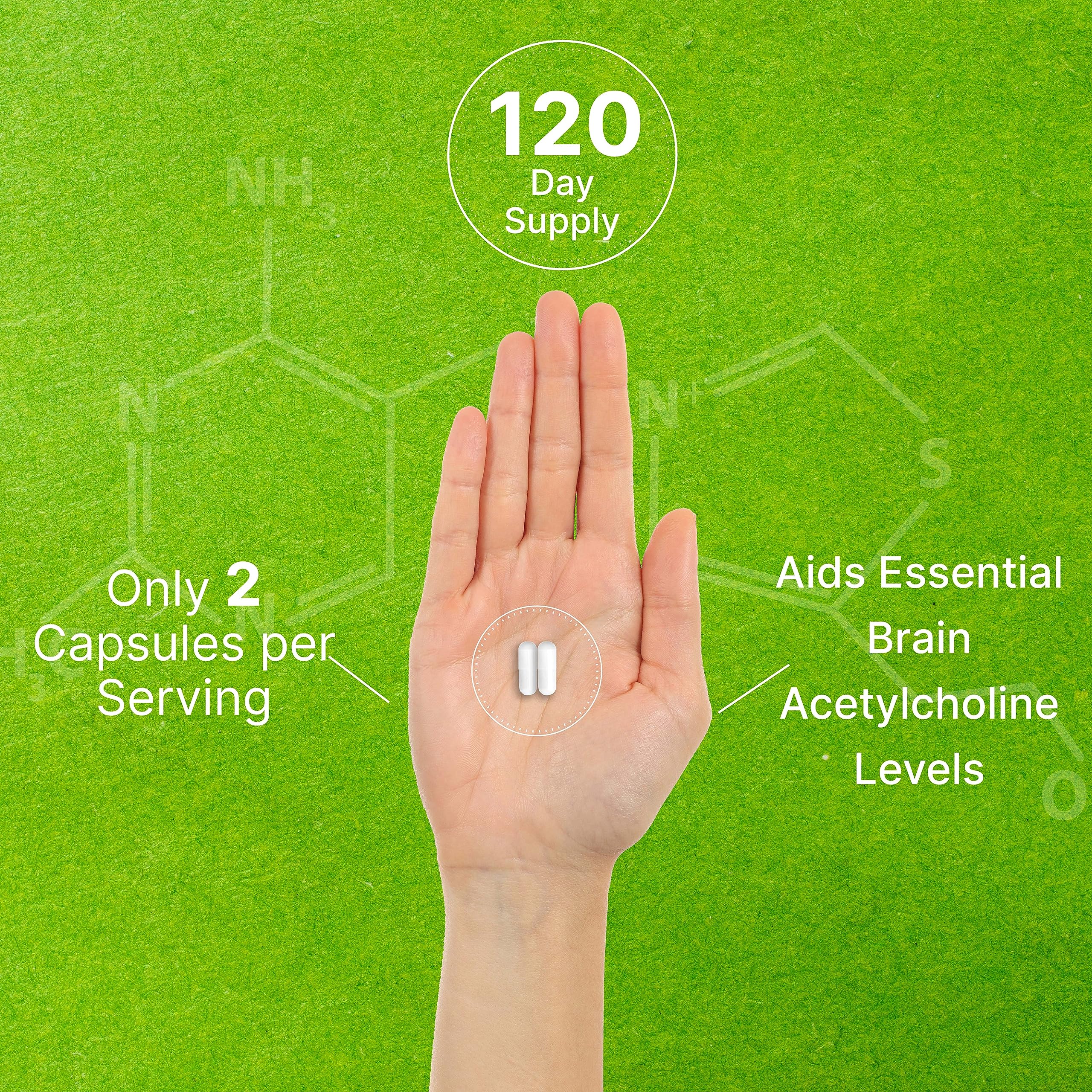 Graphic highlighting memory and focus benefits of Alpha GPC nootropic