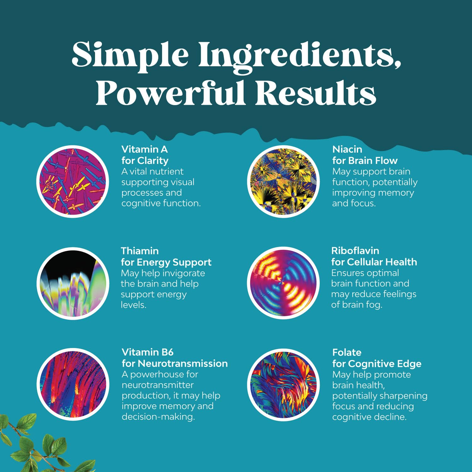 DMAE, Bacopa monnieri, L-tyrosine and green tea extract