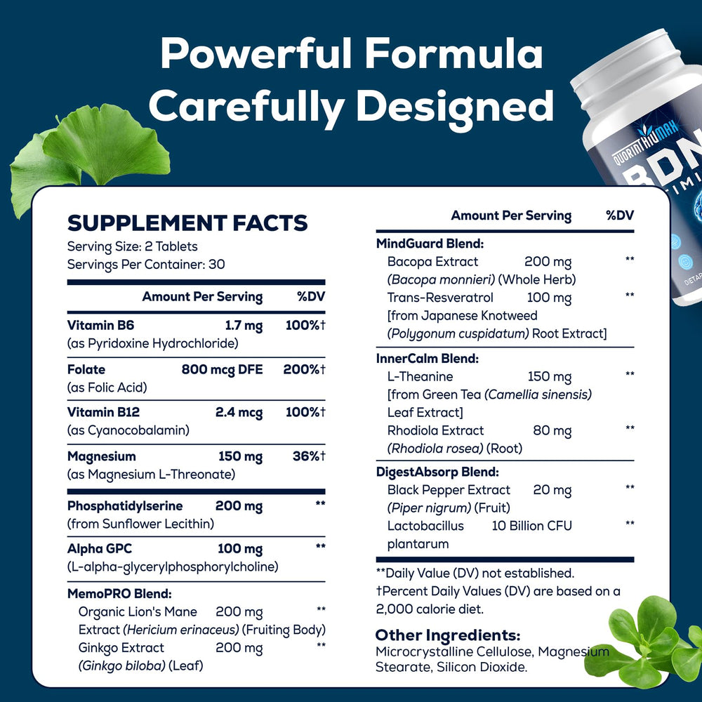 Organic Lion's Mane mushrooms and ingredients