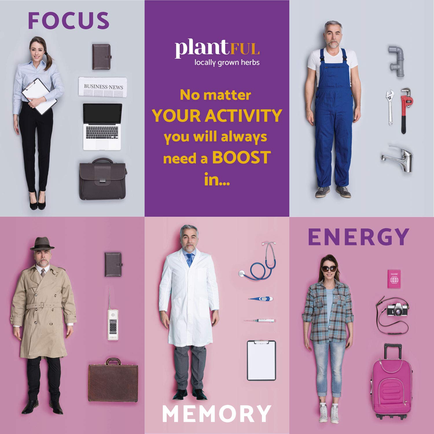 Bacopa monnieri herb included for memory and learning