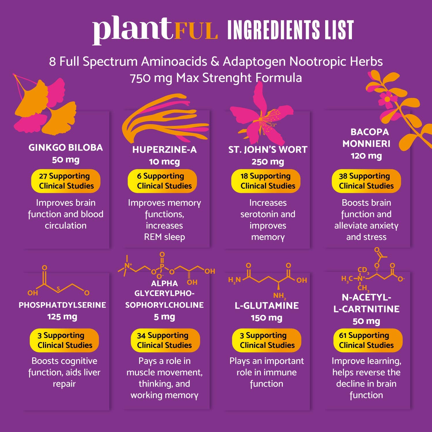Ginkgo biloba ingredient used in the nootropic formula